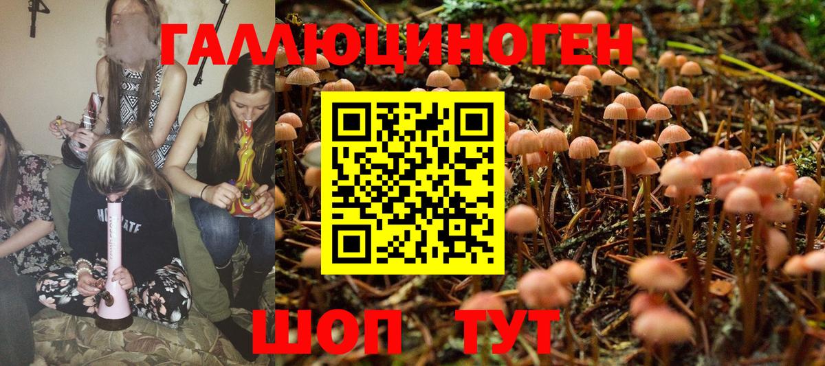 Псилоцибиновые грибы MAGIC MUSHROOMS  Псилоцибиновые грибы Magic Shrooms  цены   Каменка  Вход с VPN 